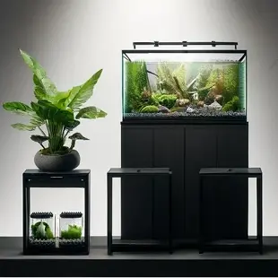Аквариумы и стойки